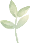 background-bottom-flower