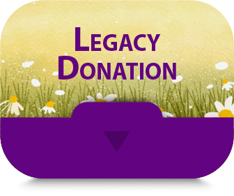 legacy-giving-donation-icon-1